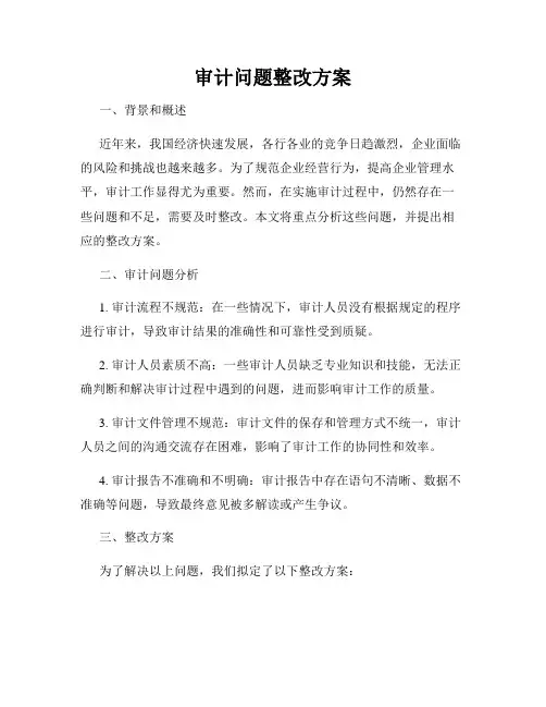 审计问题整改方案