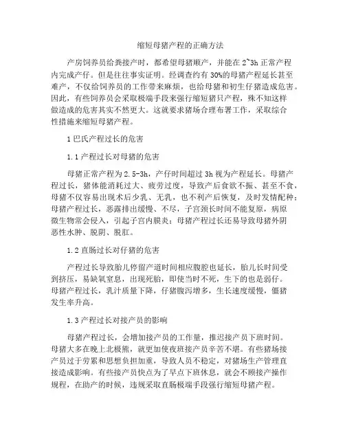 缩短母猪产程的正确方法