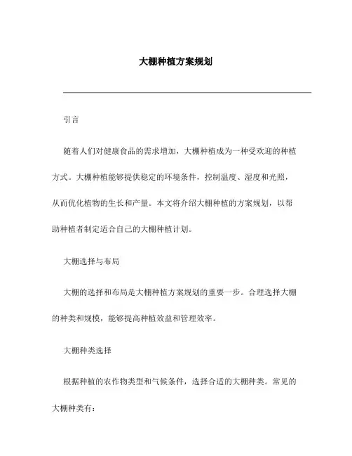 大棚种植方案规划