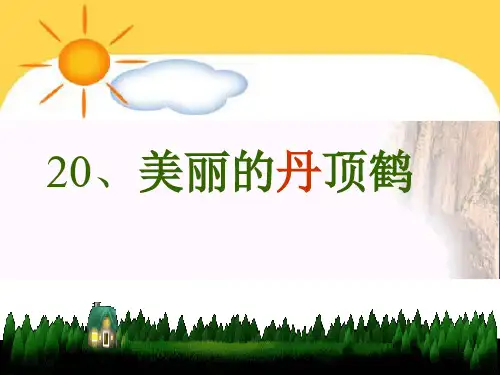 苏教版二年级上册语文《美丽的丹顶鹤》公开课PPT优秀课件
