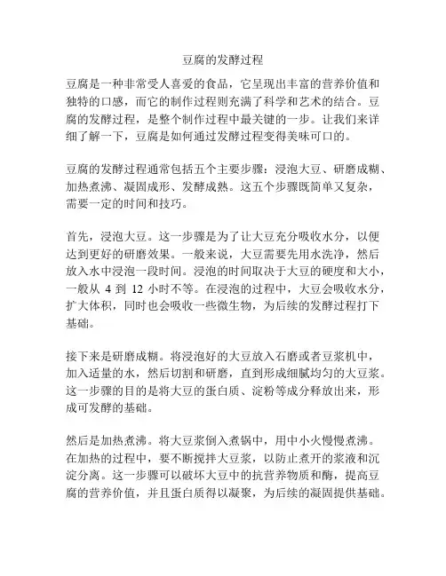豆腐的发酵过程