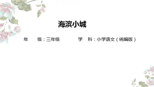 19.《海滨小城》课件(共19张PPT)