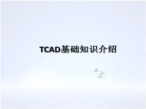 2 TCAD基础知识