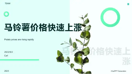 2023年马铃薯涨幅分析：马铃薯市场价格快速上涨短期难降方案模板