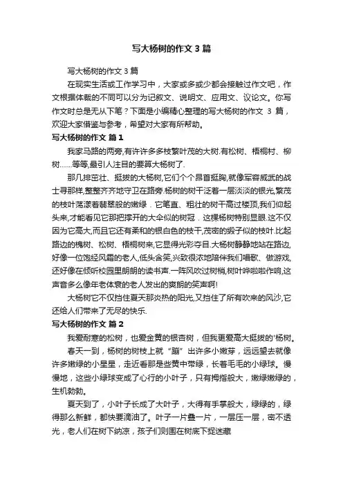 写大杨树的作文3篇