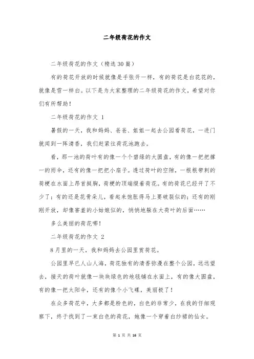 二年级荷花的作文