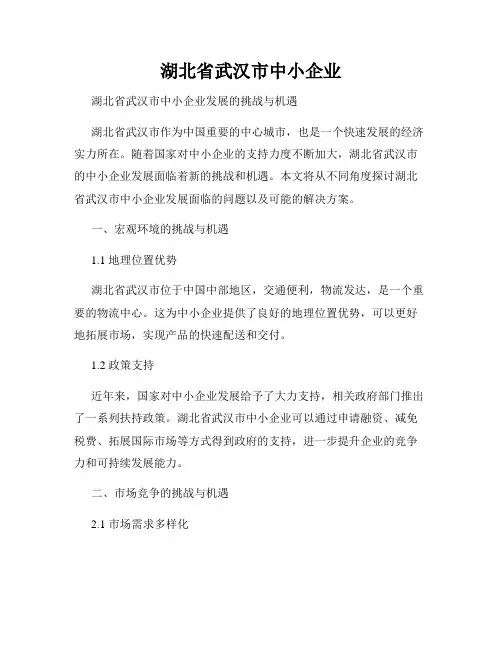 湖北省武汉市中小企业
