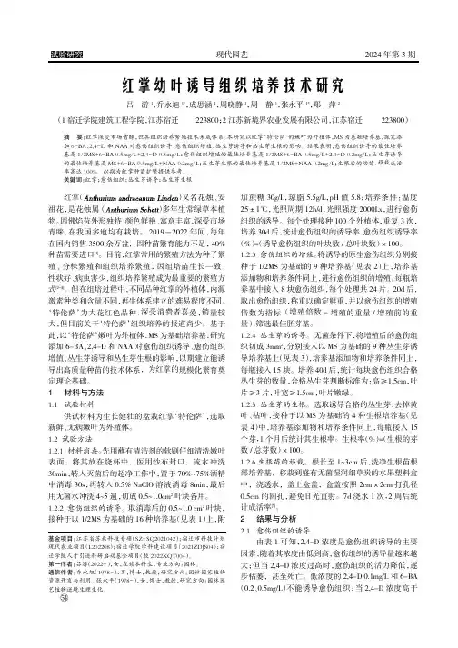 红掌幼叶诱导组织培养技术研究
