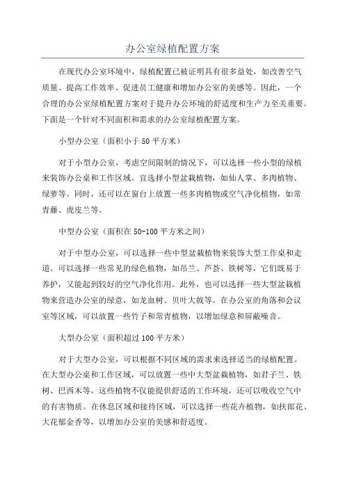 办公室绿植配置方案