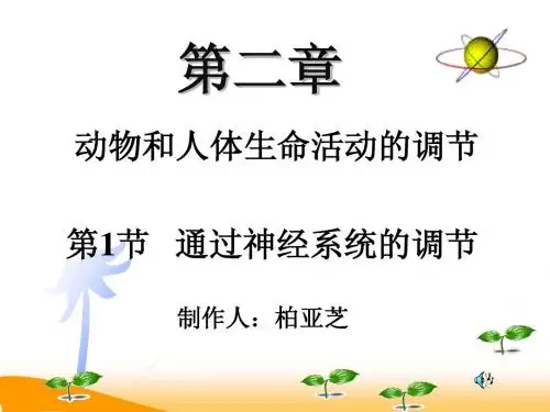 人教版教学课件必修二遗传与进化第1节 通过神经系统的调节课件