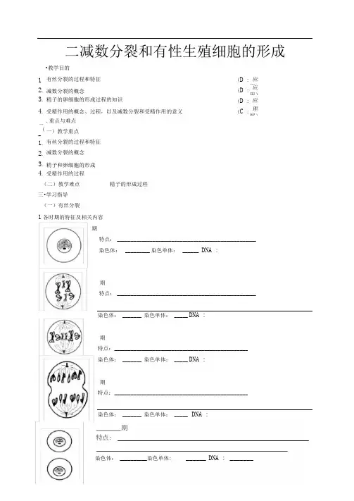 人教版高中生物必修二减数分裂教案