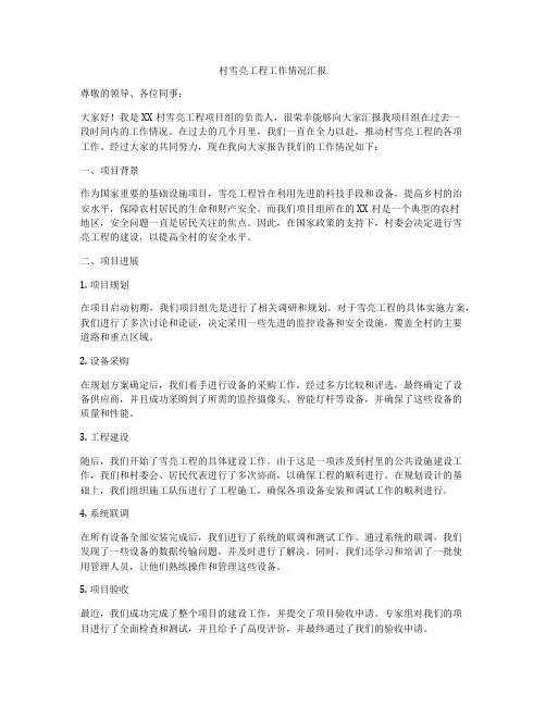 村雪亮工程工作情况汇报