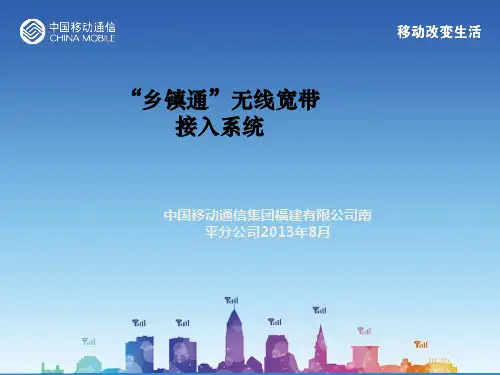 “乡镇通”无线宽带接入系统