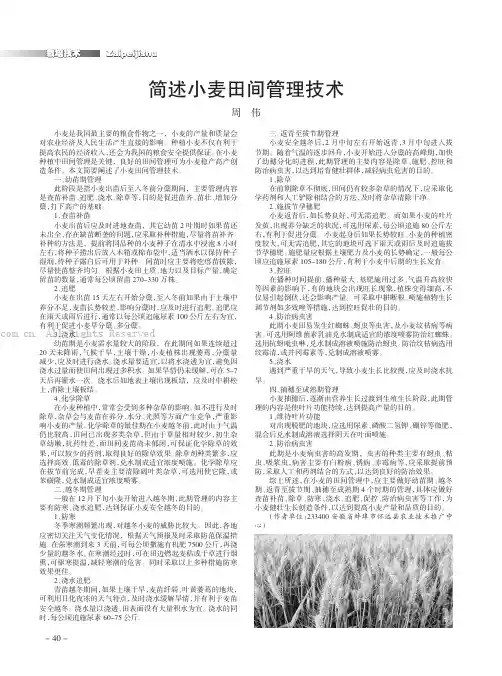 简述小麦田间管理技术