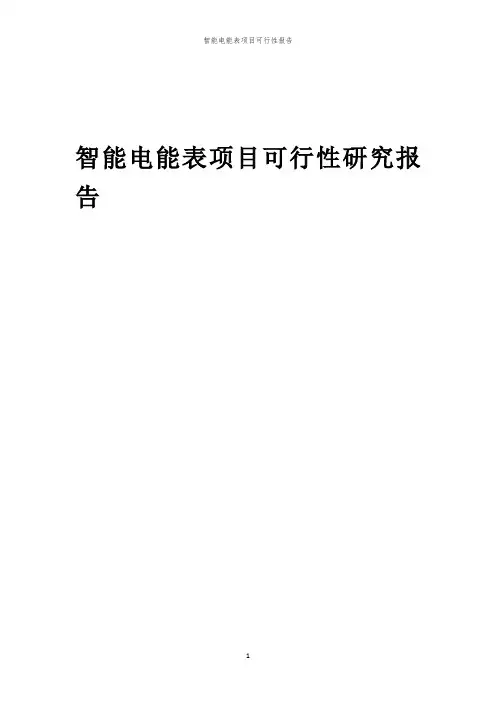 智能电能表项目可行性报告