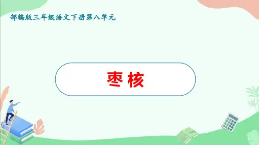 部编版三年级语文下册第八单元《枣核》ppt课件