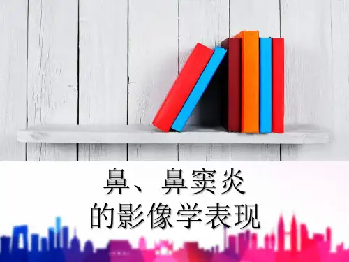 鼻、鼻窦炎的影像学表现 PPT