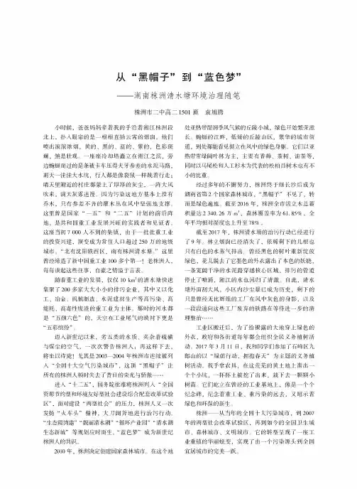 从“黑帽子”到“蓝色梦”——湖南株洲清水塘环境治理随笔