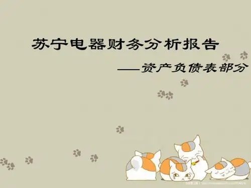 苏宁电器财务分析报告-PPT精品文档19页