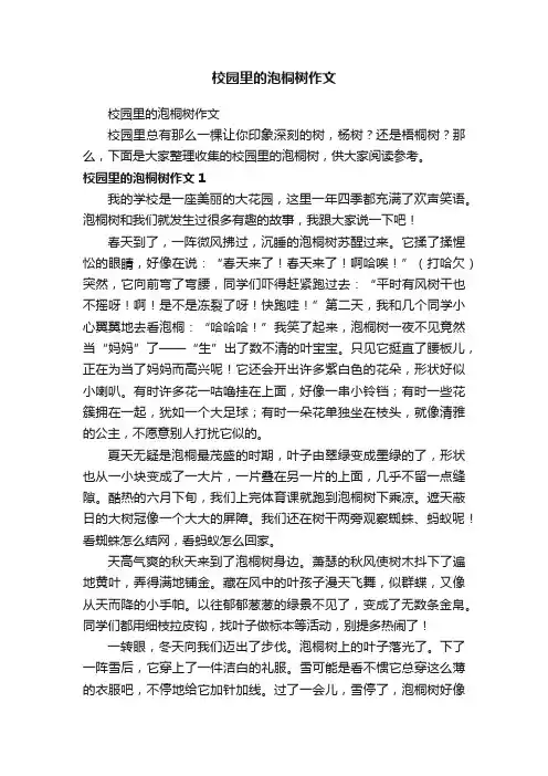校园里的泡桐树作文