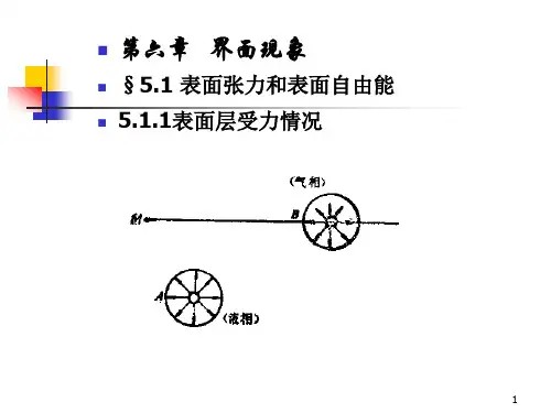 第六章 表面化学.ppt