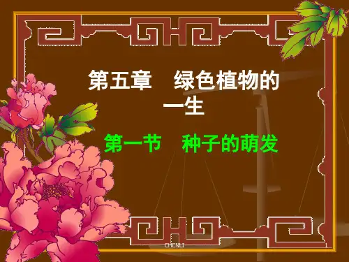 种子的结构(正式版)PPT课件