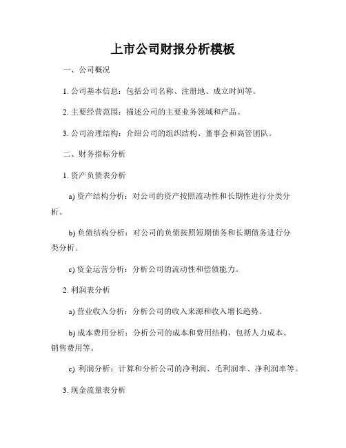 上市公司财报分析模板
