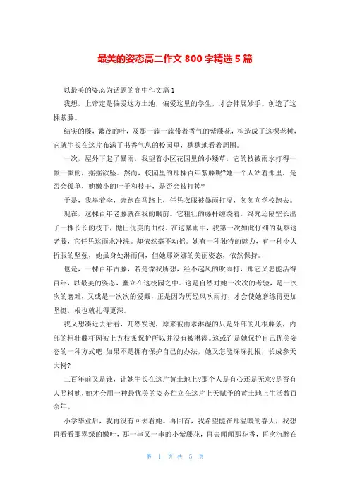 最美的姿态高二作文800字精选5篇