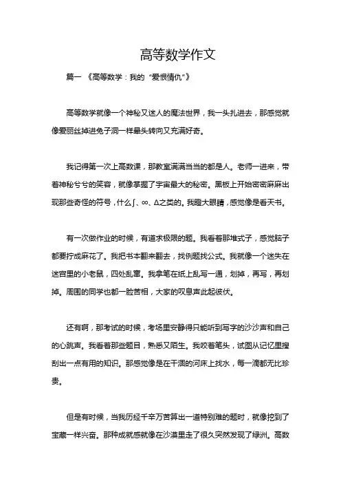 高等数学作文