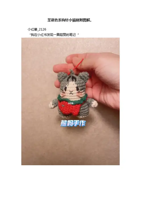 圣诞色系钩针小猫咪附图解。