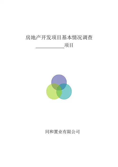 房产开发项目综合调查表-Microsoft-Word-文档