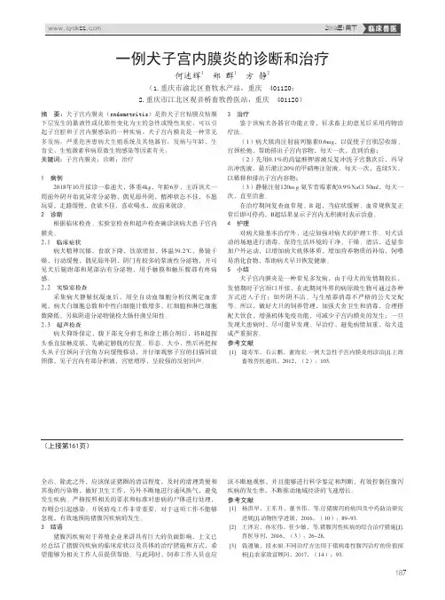 一例犬子宫内膜炎的诊断和治疗