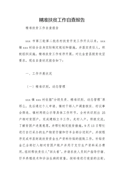 精准扶贫工作自查报告