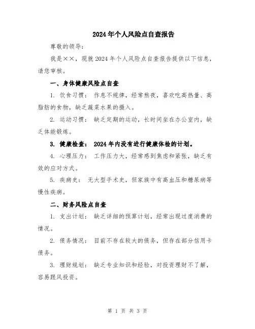 2024年个人风险点自查报告