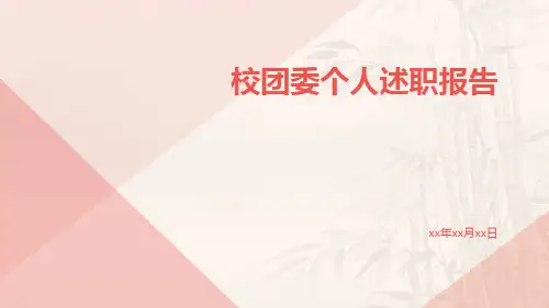 校团委个人述职报告PPT