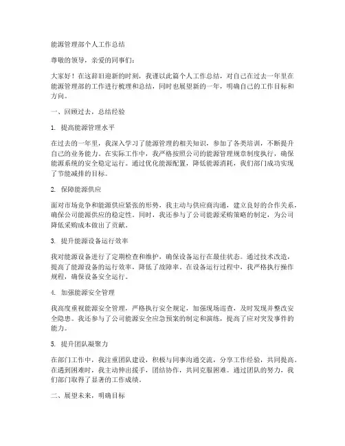能源管理部个人工作总结