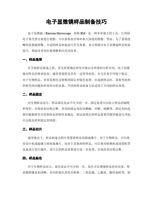 电子显微镜样品制备技巧