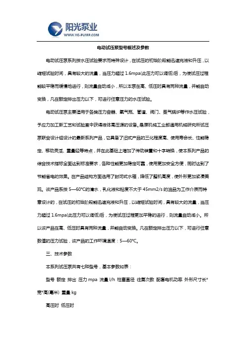 电动试压泵型号概述及参数