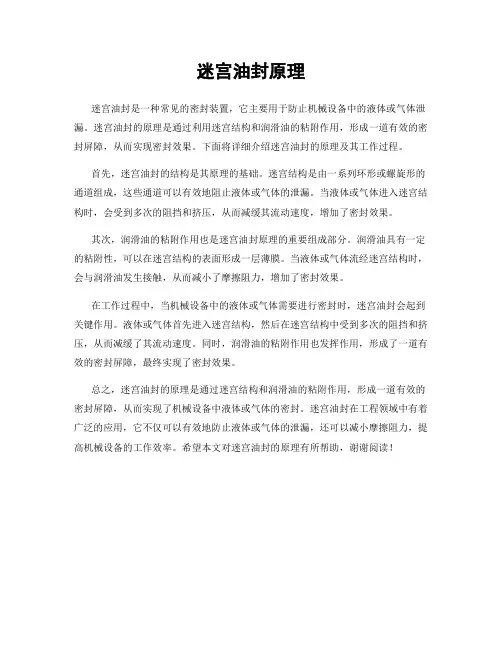 迷宫油封原理