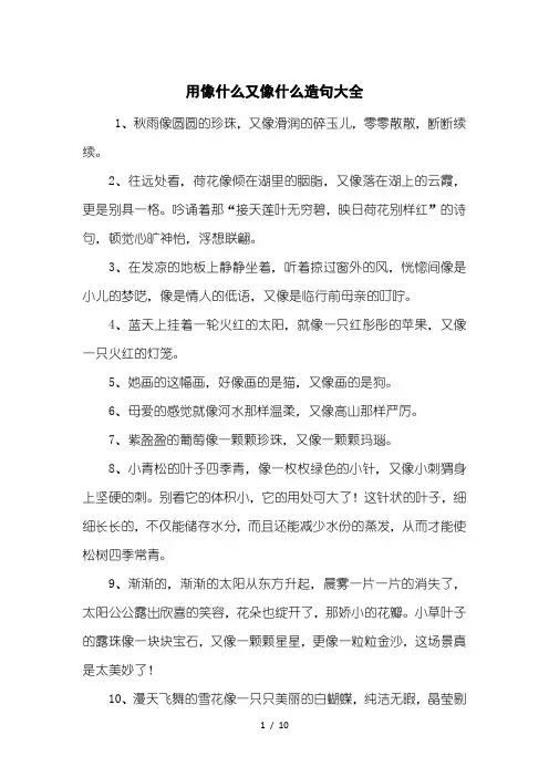 用像什么又像什么造句大全