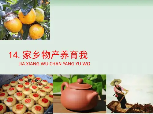 二年级上册道德与法治课件家乡物产养育我人教部编版1