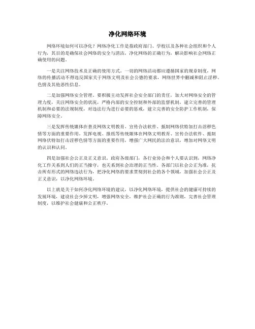 净化网络环境