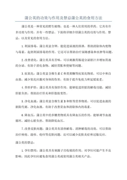 蒲公英的功效与作用及禁忌蒲公英的食用方法