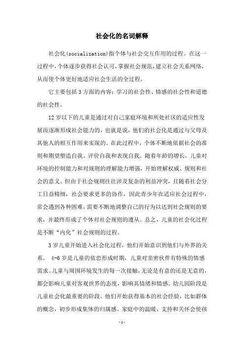 社会化的名词解释