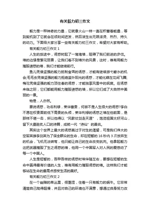 有关毅力初三作文
