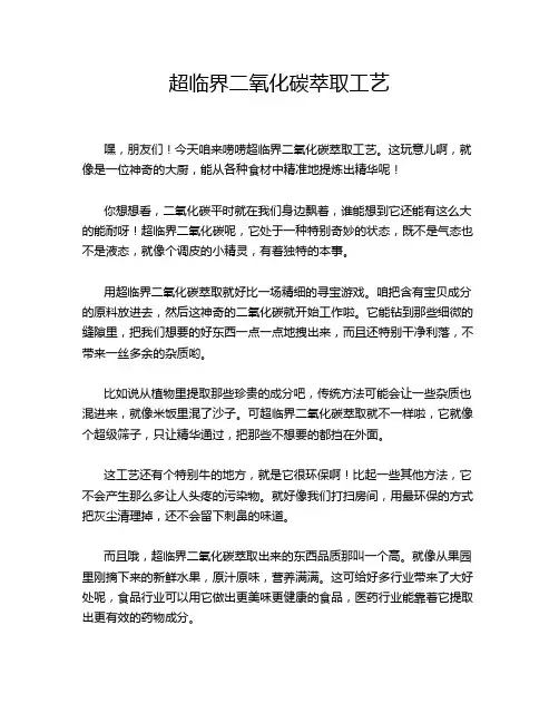 超临界二氧化碳萃取工艺
