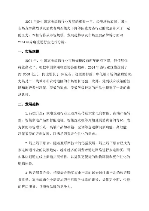 2024年家电流通行业分析报告
