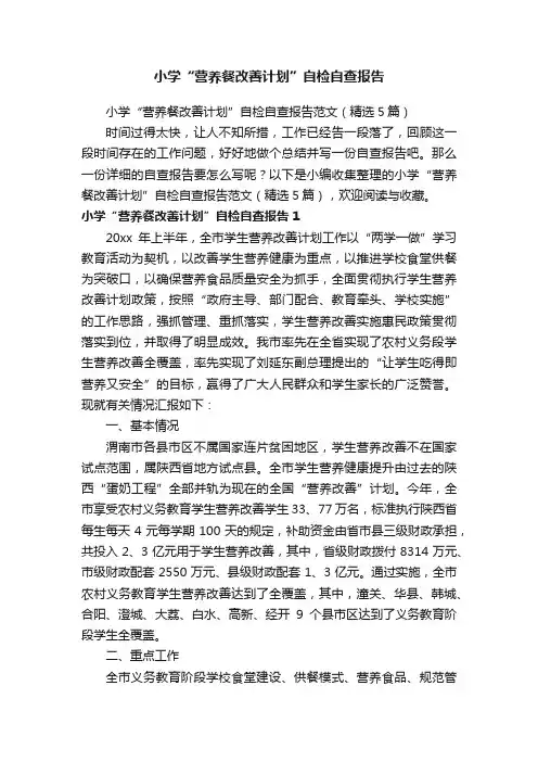 小学“营养餐改善计划”自检自查报告范文（精选5篇）