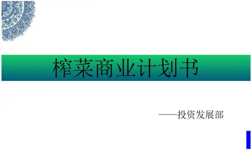 榨菜商业计划书分析