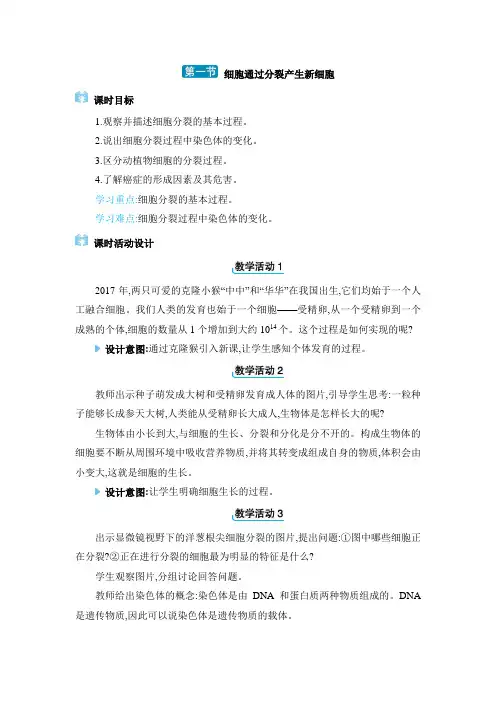 七年级上册人教版生物【教案】1. 第一节 细胞通过分裂产生新细胞